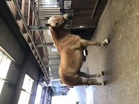 Bericht-Illustration