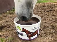 Bericht-Illustration