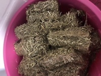 Bericht-Illustration