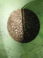 Bericht-Illustration