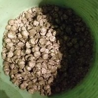 Bericht-Illustration