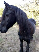 Bericht-Illustration