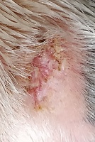 Bericht-Illustration