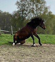 Bericht-Illustration