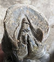 Bericht-Illustration