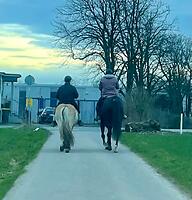 Bericht-Illustration