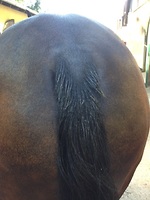 Bericht-Illustration