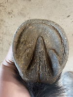 Bericht-Illustration