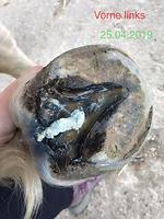 Bericht-Illustration