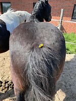 Bericht-Illustration