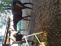 Bericht-Illustration