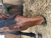 Bericht-Illustration