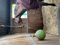 Bericht-Illustration