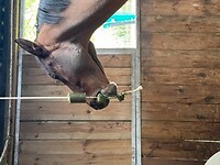 Bericht-Illustration