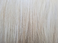 Bericht-Illustration