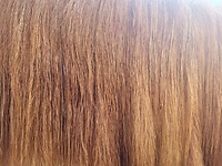 Bericht-Illustration