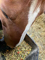 Bericht-Illustration