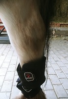 Bericht-Illustration