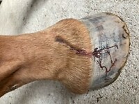 Bericht-Illustration