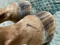 Bericht-Illustration