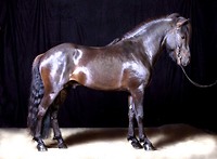 Bericht-Illustration