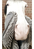 Bericht-Illustration