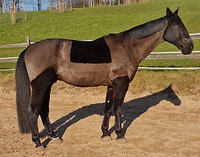 Bericht-Illustration