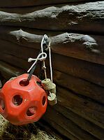 Bericht-Illustration