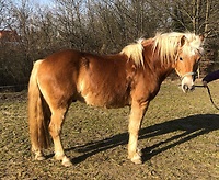 Bericht-Illustration