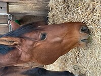 Bericht-Illustration