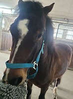 Bericht-Illustration