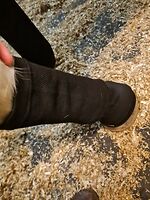 Bericht-Illustration