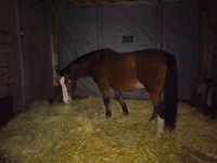 Bericht-Illustration