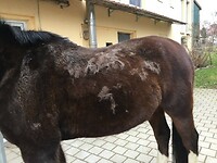 Bericht-Illustration