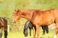 Bericht-Illustration