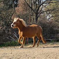 Bericht-Illustration