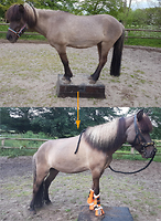 Bericht-Illustration