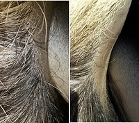 Bericht-Illustration