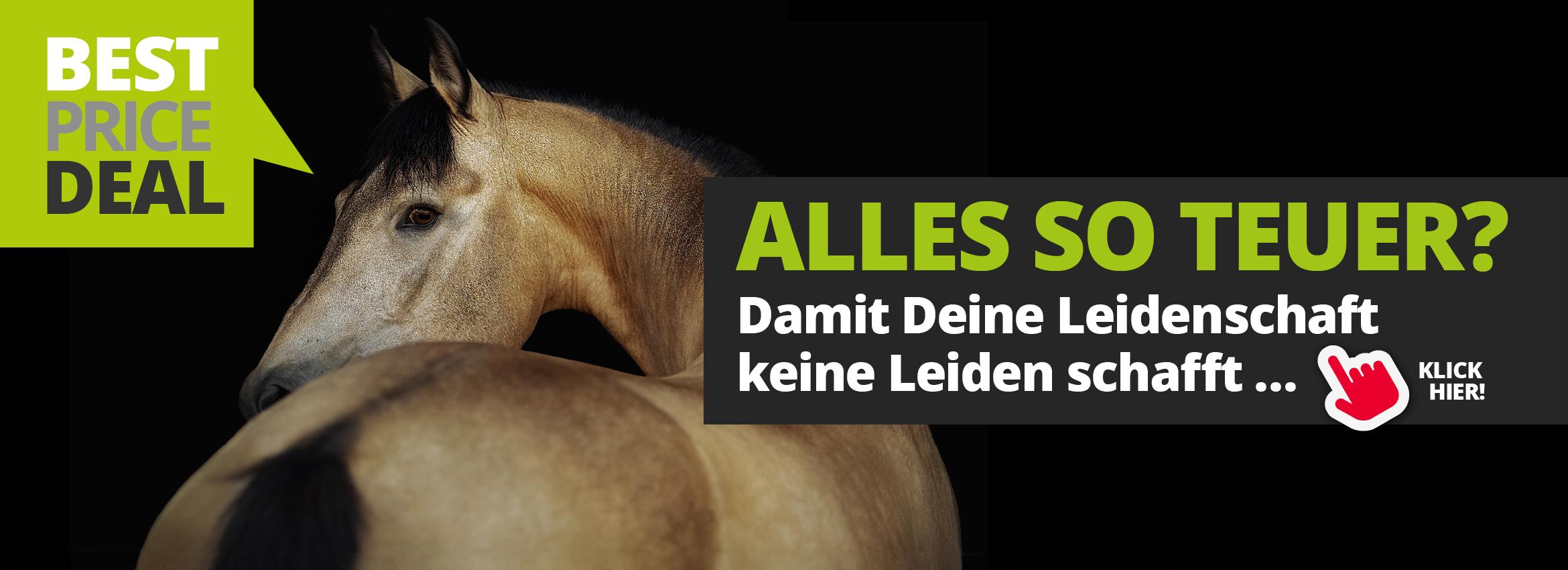 Best Price Deal - Das Beste zum besten Preis!