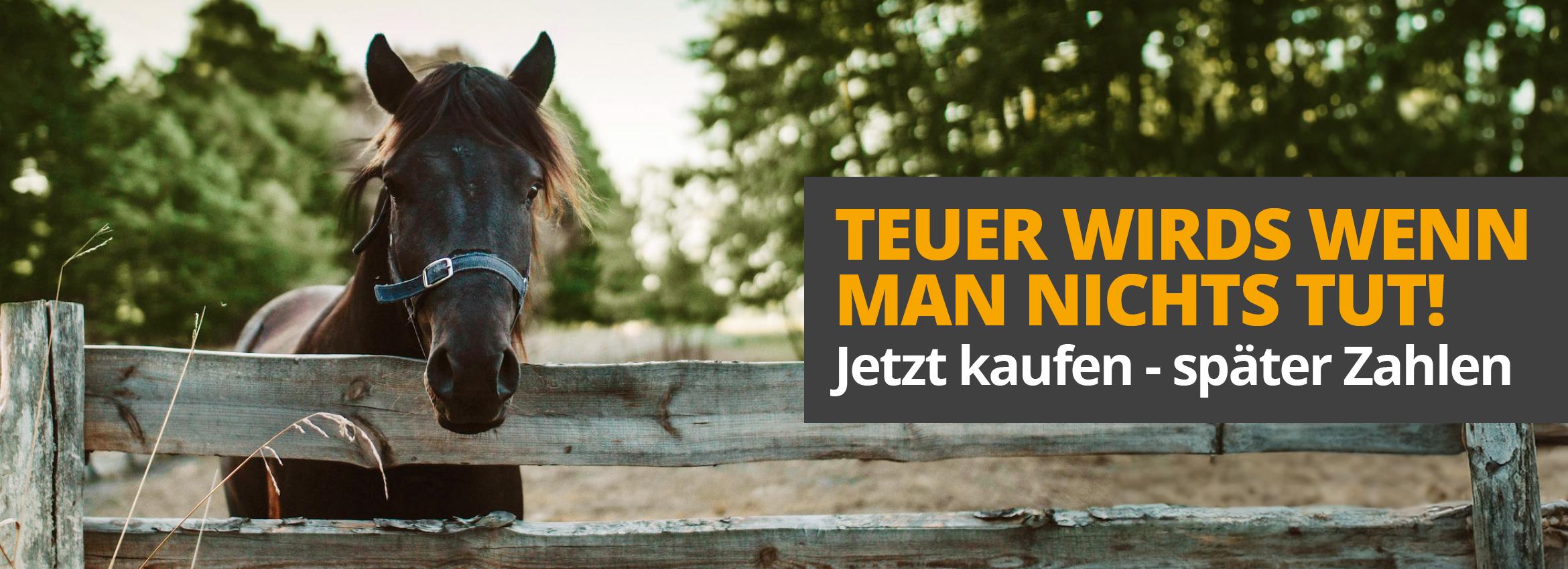 Du brauchst es jetzt und willst später zahlen? Kein Problem