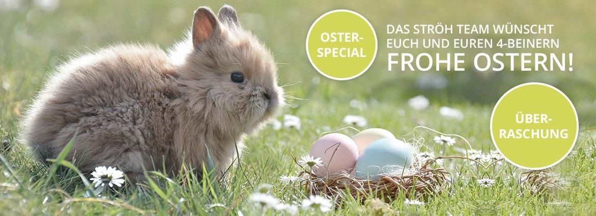 Unsere Oster-Überraschung persönlich vom Osterhasen. 