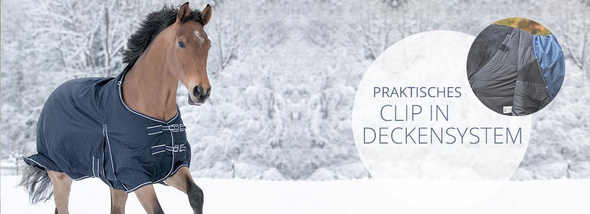 Praktisches CLIP IN Deckensystem 