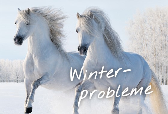 Winter - Tipp im Problemfall