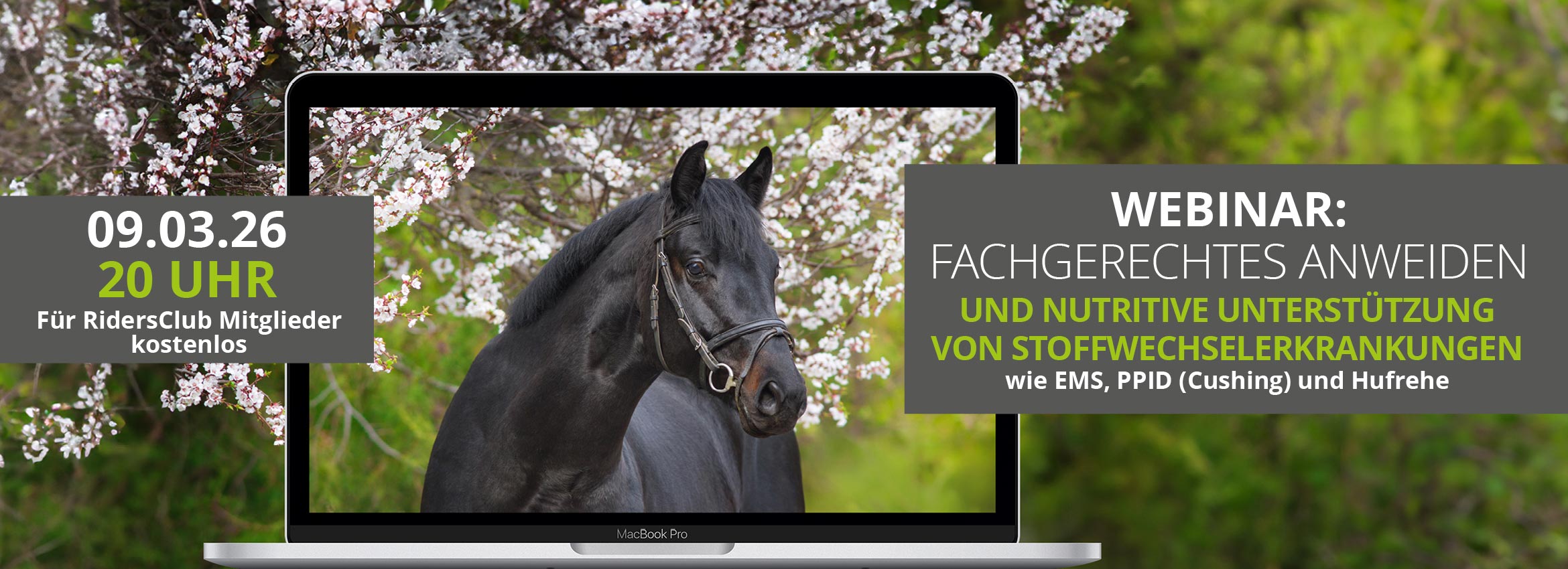 Webinar 09.03. Nutrive Unterstützung beim Anweiden