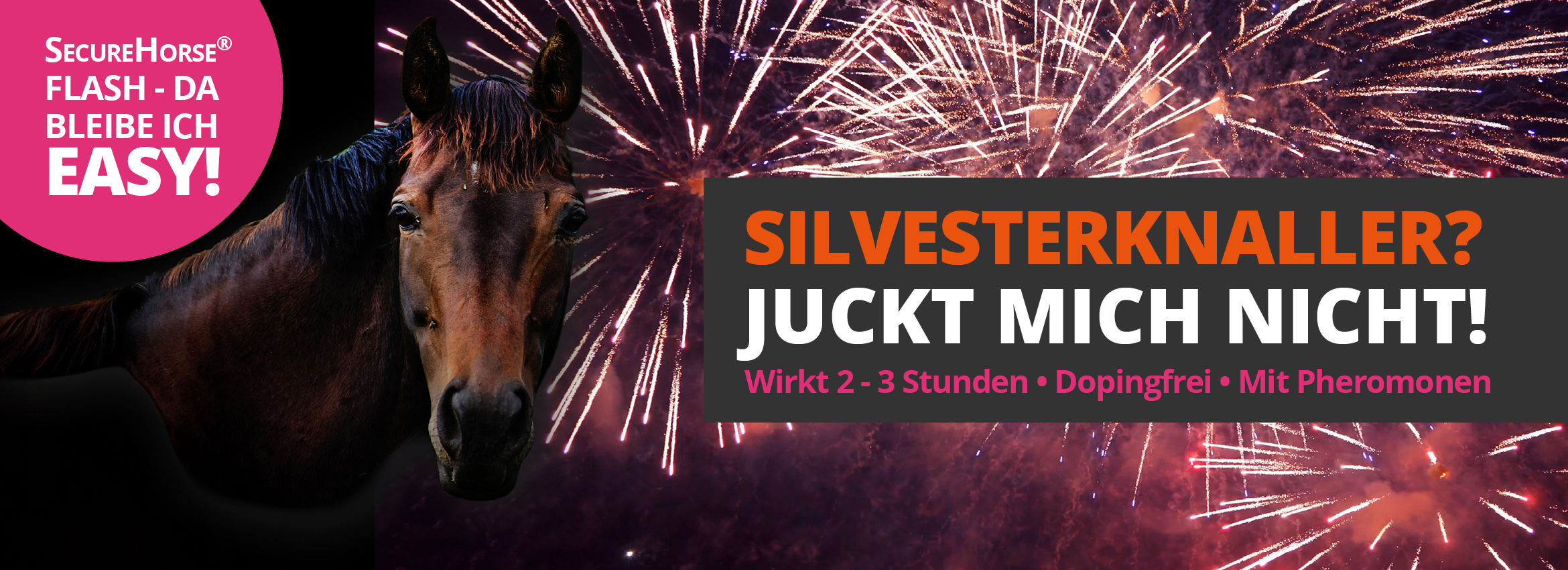 Sylvesterknaller - juckt  mich nicht! Secure Horse Flash