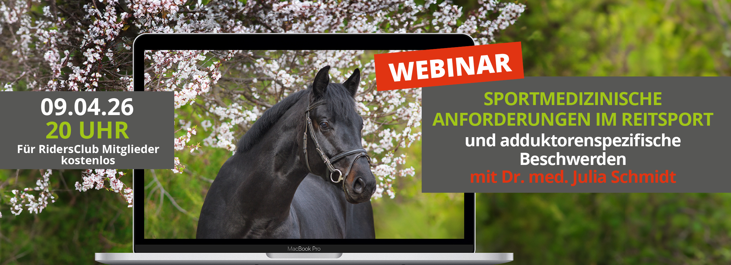 Webinar 09.04. Sportmedizinische Anforderungen im Reitsport