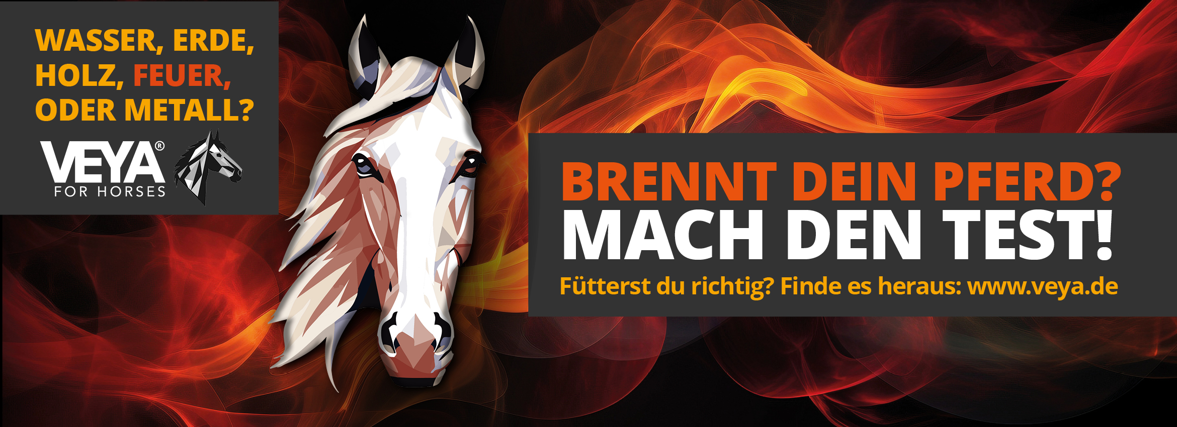 Revolutionäre Pferdefütterung nach den 5 Elementen der TCM