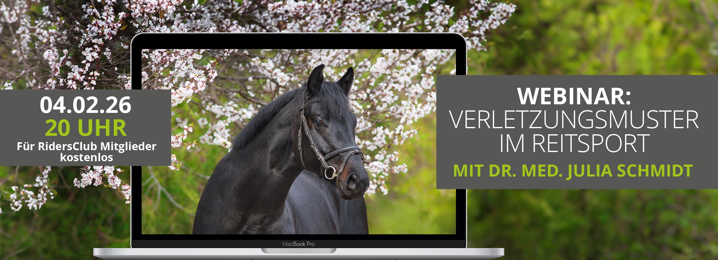 Webinar 04.02. Verletzungsmuster im Reitsport