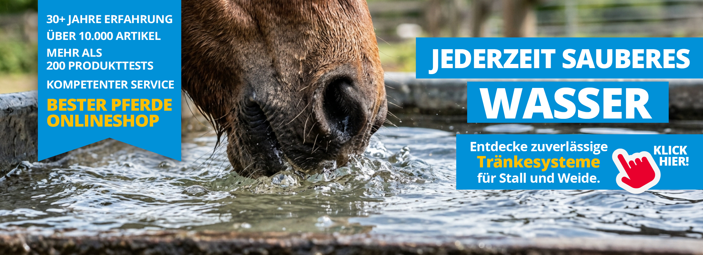 Heiße Tage, hoher Bedarf – frisches Wasser immer frei zugänglich!