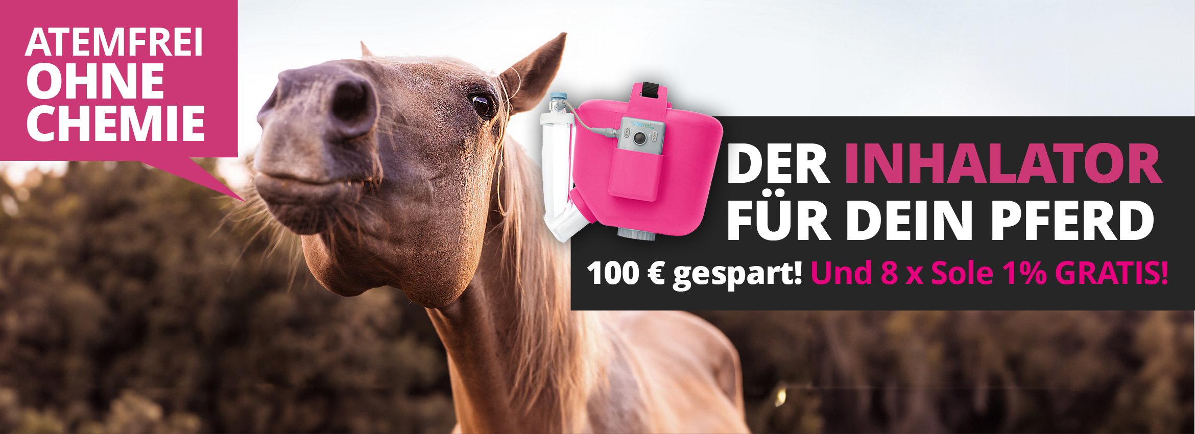 Flexineb €100 gespart + 8x Sole